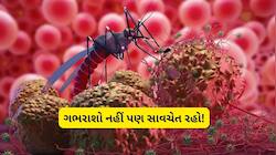સાવધાન! 15 વર્ષથી નાના બાળકો માટે ઘાતક છે 'ચાંદીપુરા વાયરસ, જાણો લક્ષણો અને બચાવ