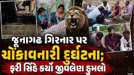 માંડ 50 પગથિયાં ચડ્યા ત્યાં જ સિંહે તરાપ મારી! કાકાનો હાથ પકડીને ગિરનાર ચઢતા બાળકને