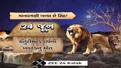 કેમ માનવભક્ષી બન્યા છે સિંહો? છેલ્લા એક મહિનામાં 5થી વધુ લોકોએ જીવ ગુમાવ્યા