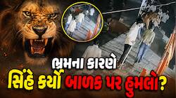 સિંહના ભ્રમનો ભોગ બન્યું બાળક? હુમલાના માત્ર 6 મિનિટ પહેલાના CCTV દ્રશ્યો પણ સામે આવ