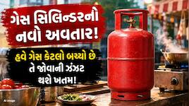 LPG યુઝર્સ માટે ખુશખબર! બદલાશે ગેસ સિલિન્ડર ખરીદવાની રીત? શું છે સરકારનો નવો પ્લાન?