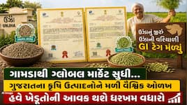 વૈશ્વિક બજારમાં ગુજરાતના મસાલાનો ડંકો, 2 કૃષિ ઉત્પાદનોને મળ્યો પ્રતિષ્ઠિત GI ટેગ