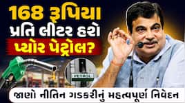 શું 168 રૂપિયા લીટર મળશે પ્યોર પેટ્રોલ? એથેનોલ વિવાદ પર નીતિન ગડકરીએ ખોલી દીધું મોટુ