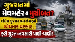 માત્ર 2 ઈંચ વરસાદમાં ફરી સુરત-નવસારી પાણી પાણી! જાણો સવારે 6થી 10માં ગુજરાતના 95 તાલ