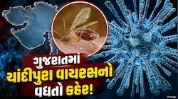 ગુજરાતમાં બાળકોમાં થતો જીવલેણ વાયરસનો કહેર; શંકાસ્પદ કેસનો આંકડો 57 પર પહોંચ્યો: આરો