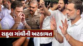 કોંગ્રેસના વિરોધ પ્રદર્શન સામે પોલીસની મોટી કાર્યવાહી ! રાહુલ ગાંધીની અટકાયત 