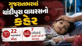 બાળકોને કોમામાં ધકેલતો ચાંદીપુરા વાયરસથી ખળભળાટ: ગુજરાતમાં 22 બાળકોના મોત, જાણો લક્ષ