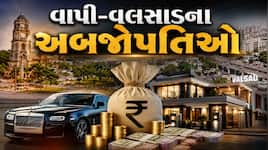 360 ONE વેલ્થ ક્રિએટર્સ લિસ્ટ 2026: વાપી અને વલસાડના સૌથી ધનિક વ્યક્તિઓ કોણ છે? જુઓ