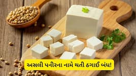 'એનાલોગ પનીર'ના ઉત્પાદન અને વેચાણ પર સમગ્ર રાજ્યમાં મૂકાયો પ્રતિબંધ!