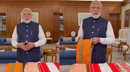 PM મોદીનો નવો ઇન્સ્ટાગ્રામ વીડિયો... આ વખતે હેન્ડલૂમ ડેને લઈને કરી આ ખાસ અપીલ