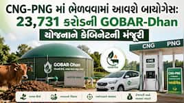 પેટ્રોલમાં ઇથેનોલની જેમ CNG-PNG માં ભેળવાશે બાયોગેસ: દેશમાં 1.50 લાખ નવી રોજગારી....