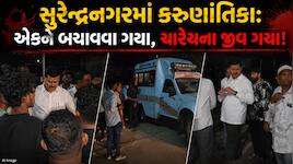 સુરેન્દ્રનગરના નગરા ગામે કરુણ ઘટના: વોંકળામાં નહાવા પડેલા રાજસ્થાનના 4 શ્રમિક યુવકોન