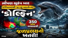 કુદરતનું રૌદ્ર સ્વરૂપ: ૭.૧ ના ભૂકંપ બાદ દરિયામાંથી ઉઠ્યું મહાદૈત્ય 'ટાઈફૂન ડોલ્ફિન',