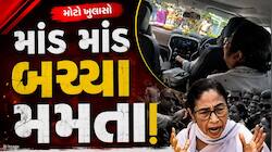Video - કાફલા પર હુમલા બાદ મમતા બેનર્જીનું મોટું નિવેદન, જાણો હુમલા અંગે શું કહ્યું 
