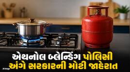 શું ભારતીય રસોડામાં LPGનું સ્થાન લેશે એથનોલ? સરકારે જણાવ્યો ભવિષ્યનો પ્લાન