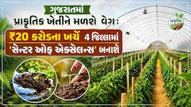 ખેડૂતોનો ખર્ચ ઘટશે અને આવક વધશે: ગુજરાતના 4 સ્થળોએ સ્થાપવામાં આવશે પ્રાકૃતિક ખેતીના