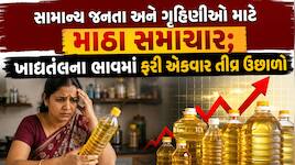 તહેવારો પહેલાં જ ગૃહિણીઓનું બજેટ ખોરવાયું: ખાદ્યતેલના ભાવમાં ભડકો, સિંગતેલ અને કપાસિ