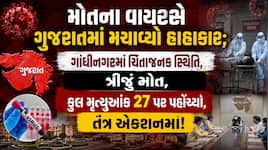 ગુજરાતમાં વધુ બે બાળકીઓના મોત સાથે મૃત્યુઆંક 27 પર પહોંચ્યો! મોતના વાયરસે મચાવ્યો...