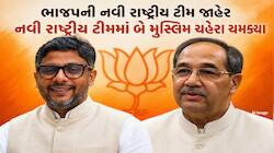ભાજપની 'ટીમ નવીન'માં બે મુસ્લિમ ચહેરાઓ પર મોટો દાવ! કોણ છે આ બન્ને નેતાઓ? જાણો