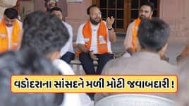 BJPના યુવા મોરચાના અધ્યક્ષ બન્યા ગુજરાતના સાંસદ, જાણો કોણ છે હેમાંગ જોશી