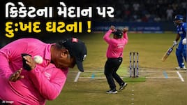 LIVE મેચમાં અમ્પાયર સાથે ભયાનક અકસ્માત, તાત્કાલિક ICUમાં કરવા પડ્યા દાખલ, જુઓ Video
