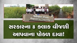 જેતપુરમાં વીજળી મુદ્દે ખેડૂતોનો હોબાળો: 8 કલાકના દાવા સામે માત્ર 3 થી 5 કલાક પાવર