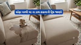 સોફા પર ચા કે કોફી ઢોળાઈ જાય તો તુરંત કરવું આ કામ, સોફાના ફેબ્રિક પર નહીં પડે ડાઘ