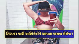 ‘એક રાતનો કેટલો ચાર્જ...’ મિર્ઝાપુર-1 બાદ આ અભિનેત્રીને આવતા હતા ખરાબ મેસેજ, જાણો