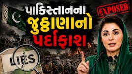 પાકિસ્તાનનું સૌથી મોટું આતંકી કબૂલનામું... મરિયમે દેખાડ્યો પાકિસ્તાનનો કાળો ચહેરો 