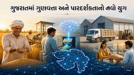 ગુજરાતમાં અનાજ વ્યવસ્થામાં AI ક્રાંતિ, ખરીદીથી લઈને વિતરણ સુધી થશે કાયાપલટ!