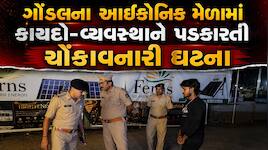 ગોંડલના ઐતિહાસિક મેળામાં લોહિયાળ ખેલ: ફોટોફ્રેમના ભાવતાલ બાબતે યુવકને છરીના ઘા ઝીંકી