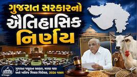 10 લાખ દંડ અને 10 વર્ષ સુધીની સજા... પશુઆહારમાં ભેળસેળ કરનારાઓની હવે ખેર નથી! 