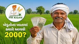 ક્યારે આવશે PM કિસાન યોજનાનો 24મો હપ્તો ? શું આવી છે નવી અપડેટ ? જાણો