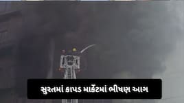 સુરતના કાપડ બજારમાં ફરી ભીષણ આગ: સારોલીની સંગીની હબ-2 માર્કેટમાં મચી અફરાતફરી