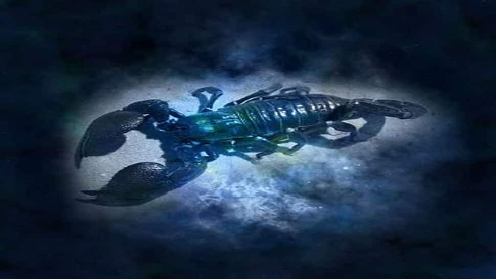 વૃશ્ચિક વૃશ્ચિક