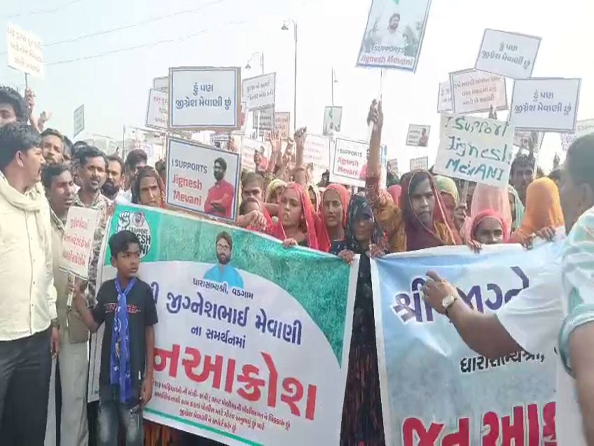 I Support Jignesh Mevani