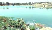 પાલનપુર નગરપાલિકાની ઘોર બેદરકારીએ ઐતિહાસિક માનસરોવરની દુર્દશા પાલનપુર નગરપાલિકાની ઘોર બેદરકારીએ ઐતિહાસિક માનસરોવરની દુર્દશા