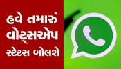 WhatsApp સ્ટેટસમાં મળશે નવું ઓપ્શન, વોઈસ નોટ કરી શકશો પોસ્ટ
