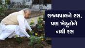 ઓર્ગેનિક ખેતીમાં સરકારના ધમપછાડા છતાં ગુજરાત 10 માં નંબરે, આ રાજ્યો આગળ નીકળી ગયા