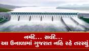 BIG NEWS : ગુજરાતને નર્મદાનું 11.7 MAF પાણી મળશે, સૌથી મોટી ખુશખબર