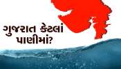 શું આ વખતે પણ ઉનાળામાં પાણી માટે મારવા પડશે ફાફાં? જાણો ગુજરાતમાં કેટલું પાણી છે?