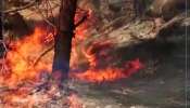 ઉધમપુર, J&K: ક્રિમચીના જંગલમાં આગ ફાટી નીકળી, લોકોએ કર્યા આગ બુઝાવવાના પ્રયાસ...