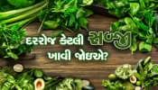 એક દિવસમાં કેટલી સબ્જી ખાવી જોઇએ? 90% લોકોના કન્ફ્યુઝનનો આ રહ્યો જવાબ!