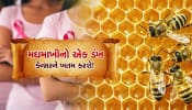 મધમાખી ડંખ મારશે તો નહીં થાય કેન્સર!, વૈજ્ઞાનિકોએ કર્યો ચોંકાવનારો ખુલાસો...