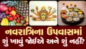 નવરાત્રિના ઉપવાસમાં કઈ વસ્તુઓ ખાવાની હોય છે સખ્ત મનાઈ? આ જાણી લેશો તો વ્રત કરવું સરળ થઈ જશે....