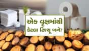 એક વૃક્ષમાંથી કેટલા ટિશ્યૂ પેપર બનાવી શકાય? તમે કદાચ વિચારી નહીં શકો!