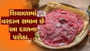 શિયાળામાં વરદાન સમાન છે આ દાળના પરોઠા, શરીરમાં ભરપૂર પ્રોટીન આપશે...