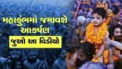 પ્રયાગરાજમાં યોજાનારા મહાકુંભમાં અનોખું આકર્ષણ, આ જોઇને તમે પણ કહેશો વાહ!