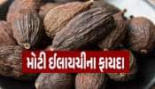 શિયાળામાં મોટી ઈલાયચી ખાવાના ગજબના છે ફાયદા, જાણો શું કહે છે એક્સપર્ટ