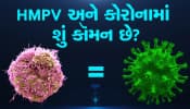 HMP વાયરસ અને કોરોનામાં શું છે કૉમન?, જાણો કોનાથી વધારે ખતરો છે?